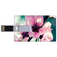 Orchid pen drive