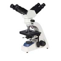 Dual head microscope
