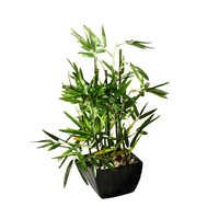 Artificial bamboo plant