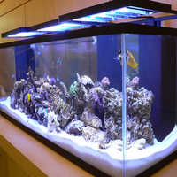 Marine aquariums