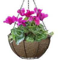 Hanging flower basket
