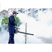 धूमन सेवाएं