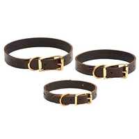 Pet collars