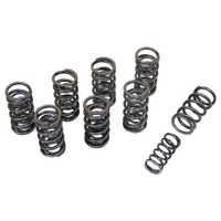 Engine valve springs