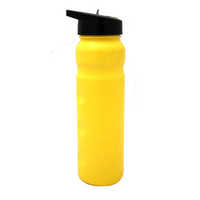 Sports water bottle