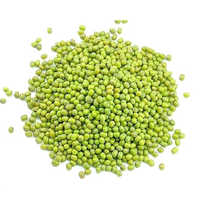 Green Gram Seeds
