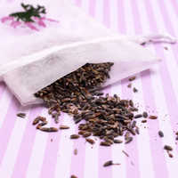 Lavender seeds