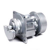 रोटरी वाइब्रेटर