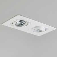 Ceiling Twin Light