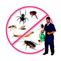 Pest Control Services Provider