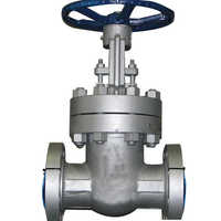 Pneumatic gate valve