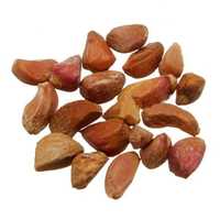 Rose seeds