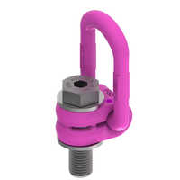 Hoist Rings