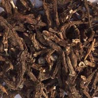 Aconitum heterophyllum