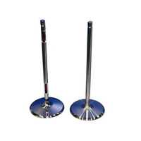 Automotive engine valves