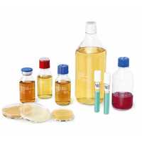 संस्कृति मीडिया