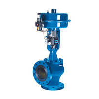 Globe control valves