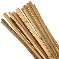 Bamboo Sticks