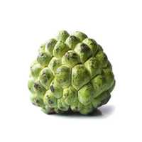 Custard apple