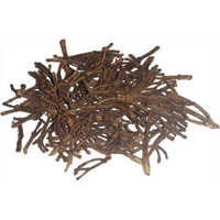 Cloves Stem