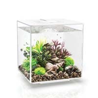 Acrylic aquarium