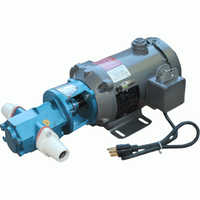 Oil transfer pump