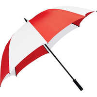Printed promotional umbrella