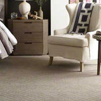 Carpet Flooring Solution