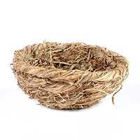 Bird Nest