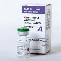 Hepatitis a vaccine