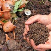 Organic compost fertilizer