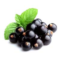 Black currant flavor