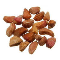 Petunia seeds