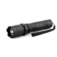 Electric torches