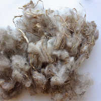 Greasy wool