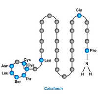कैल्सीटोनिन