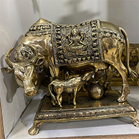 Brass cow statues