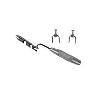 गिगली देखा