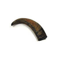 Buffalo horn