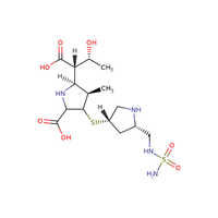 Doripenem