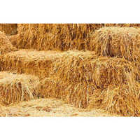 Agricultural waste