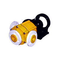 Vertical sealless glandless pump