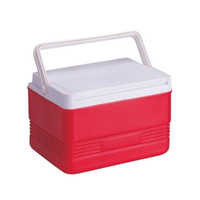 Plastic ice box