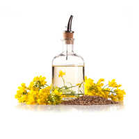 Rapeseed Lecithin