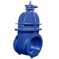 Metal seated gate valve