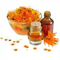 Tagetes oil