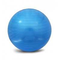 Gym ball