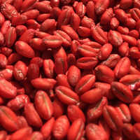 Seed coating polymer