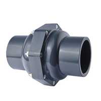 Plastic check valve