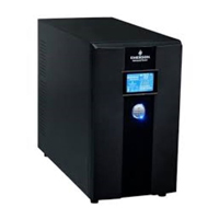 Emerson ups